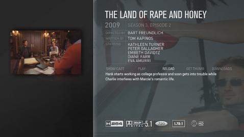 Screenshot of episode information